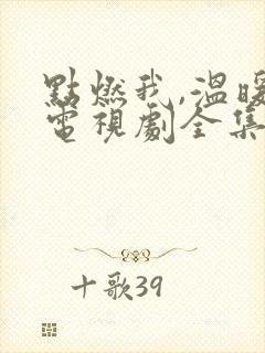 点燃我,温暖你电视剧全集免费下载