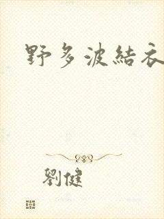 野多波结衣