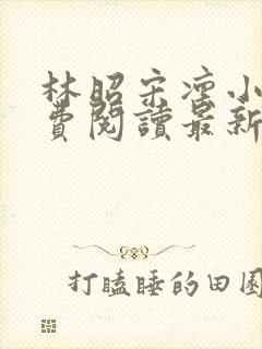 林昭宋凛小说免费阅读最新章节更新封面