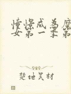 憧憬成为魔法少女第一季第一集封面