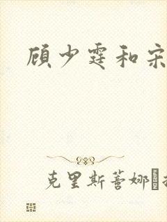 顾少霆和宋斯曼封面