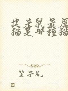 捉老鼠最厉害的猫是哪种猫