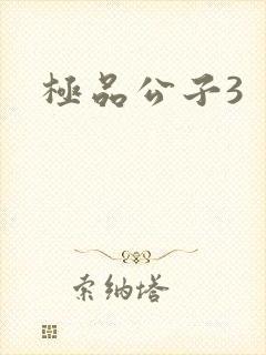 极品公子3