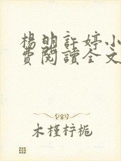 杨明许婷小说免费阅读全文最新章节