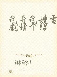 我哥我嫂电视剧剧情介绍封面