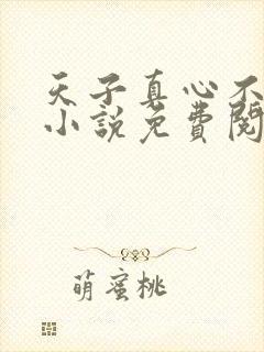 天子真心不独我小说免费阅读