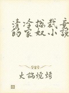 清冷总裁竟是我的家奴小说