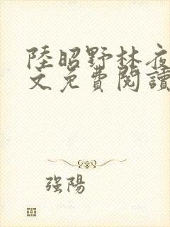 陆昭野林夜棠全文免费阅读最新章节