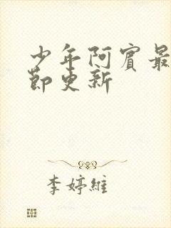 少年阿宾最新章节更新封面