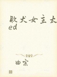 败犬女主太多了ed