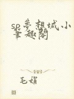 sp梦想城小说笔趣阁封面