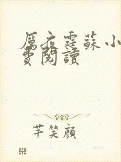 厉夜霆苏小汐免费阅读