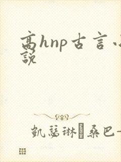 高hnp古言小说