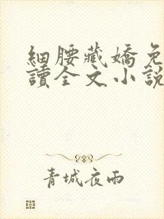 细腰藏娇免费阅读全文小说苏珞浅