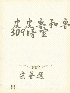 皮皮鲁和鲁西西309暗室