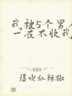 我被5个男人躁一夜不收我怎么办封面
