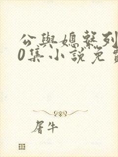 公与媳系列100集小说免费看