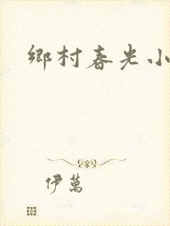 乡村春光小说
