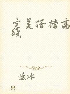 完美搭档高清在线