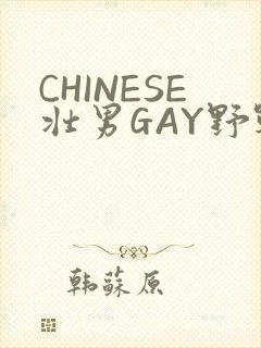 CHINESE壮男GAY野战强迫TUBE