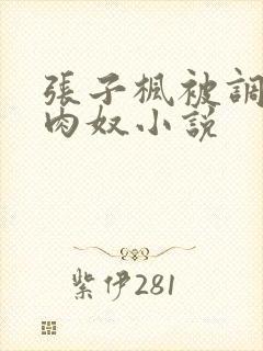 张子枫被调教成肉奴小说封面