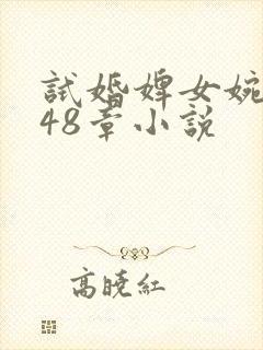 试婚婢女婉娘148章小说