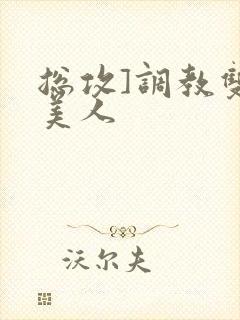 总攻]调教双性美人封面