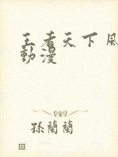 王者天下 风之动漫