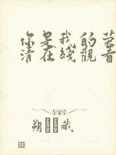 你是我的荣耀高清在线观看完整版