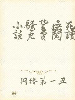 小骚货操死你小说免费阅读