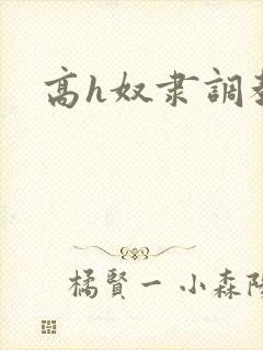 高h奴隶调教文封面