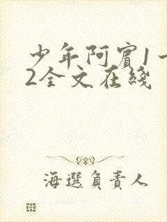 少年阿宾1一72全文在线