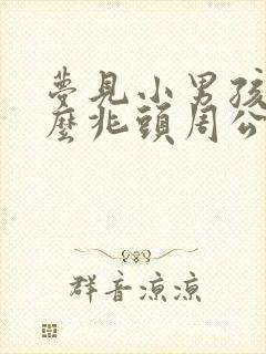 梦见小男孩子什么兆头周公解梦