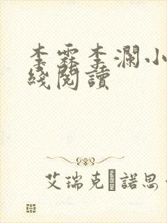 李霖李澜小说在线阅读