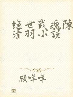 绝世武魂陈枫燕清羽小说封面