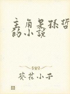 主角是孙哲叶巧的小说