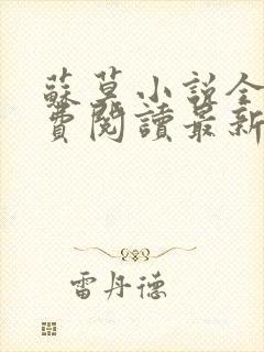 苏莫小说全文免费阅读最新章节