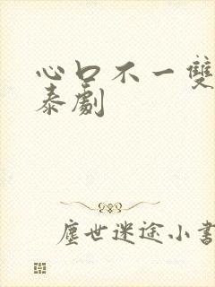 心口不一双男主泰剧