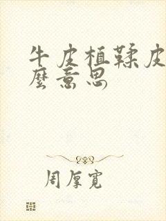 牛皮植鞣皮是什么意思