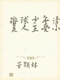 排球少年清冷男美人主受小说