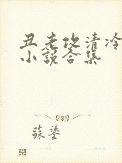 丑老攻清冷美人小说合集