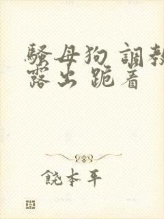 骚母狗 调教 露出 跪着