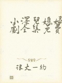 小泽儿媳妇电视剧全集免费观看