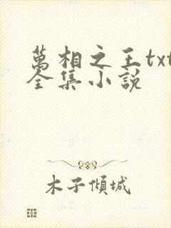 万相之王txt全集小说
