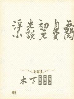 浮光初月无归期小说免费阅读封面