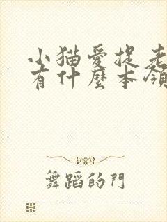 小猫爱捉老鼠它有什么本领