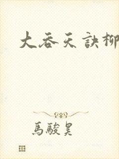 大吞天诀柳无邪