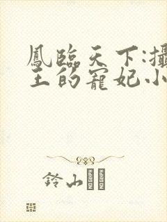 凤临天下:摄政王的宠妃小说封面