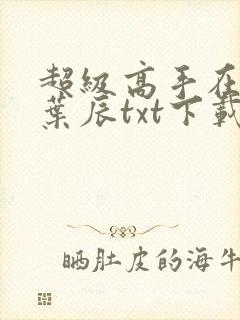 超级高手在都市叶辰txt下载