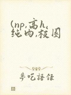 (np,高h,纯肉,校园